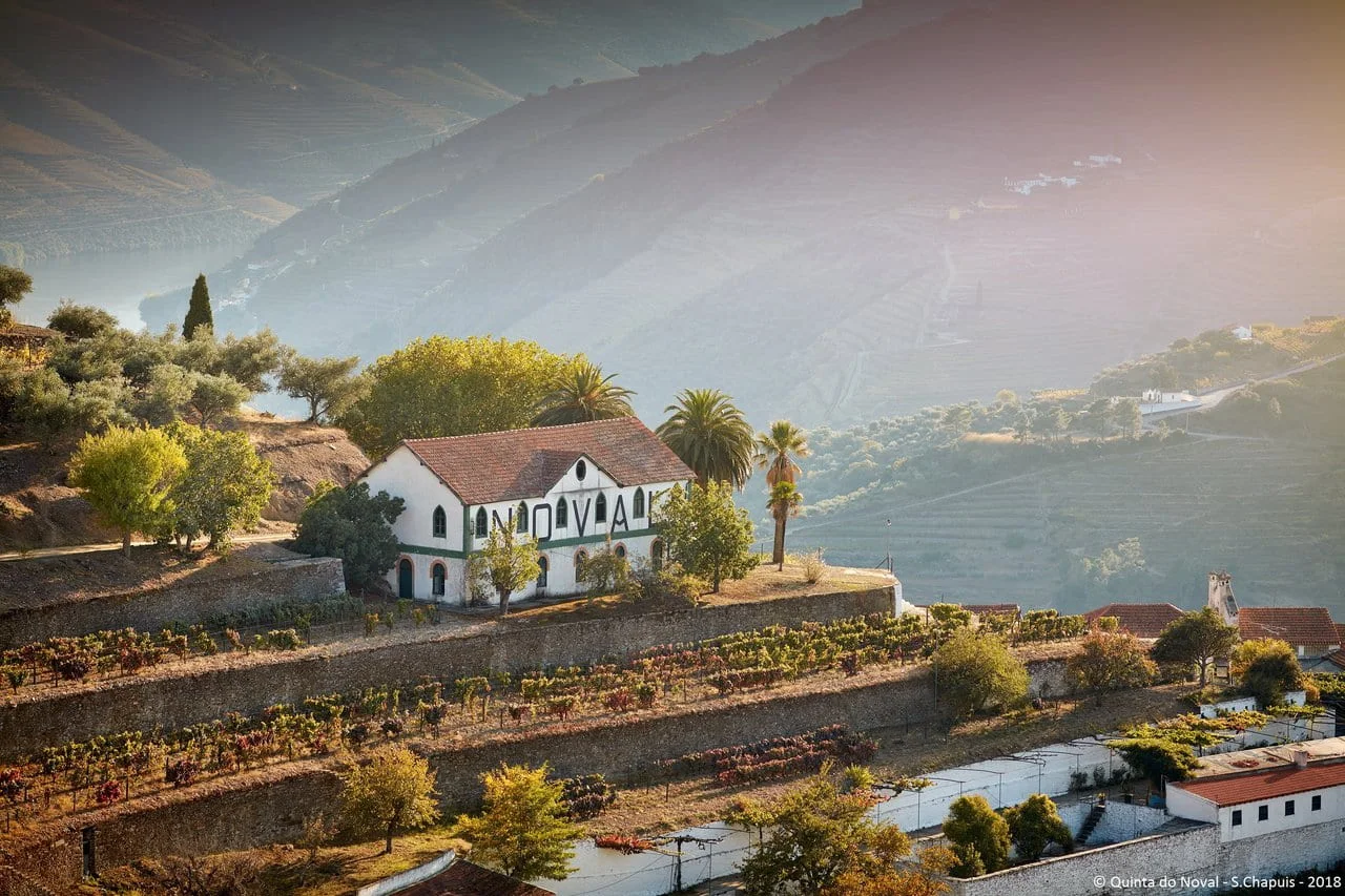 Douro Valley · Illustrative photography